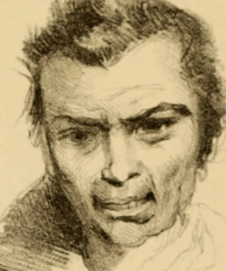 An illustration from The physiognomy of mental diseases, 1838, leaf 169