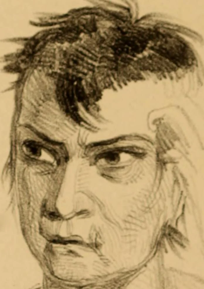 An illustration from The physiognomy of mental diseases, 1838, leaf 217