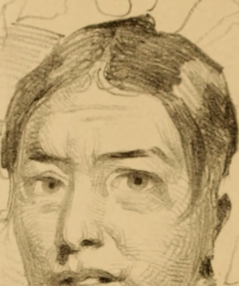 An illustration from The physiognomy of mental diseases, 1838, leaf 245