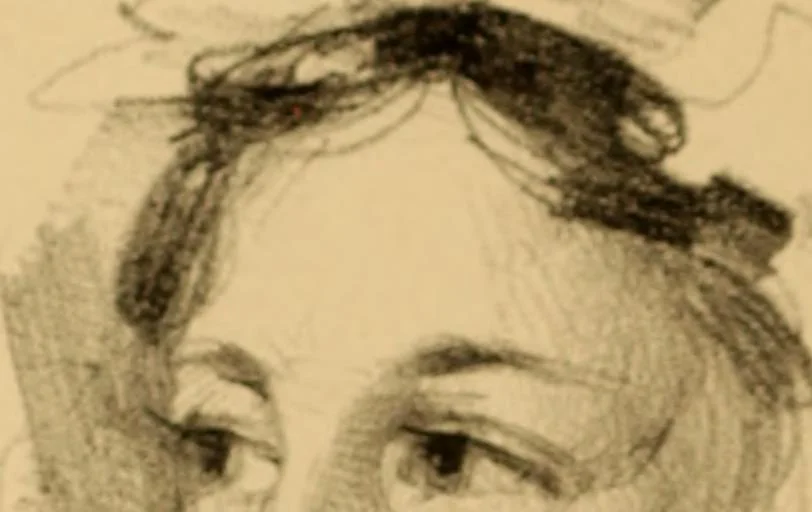 An illustration from The physiognomy of mental diseases, 1838, leaf 327