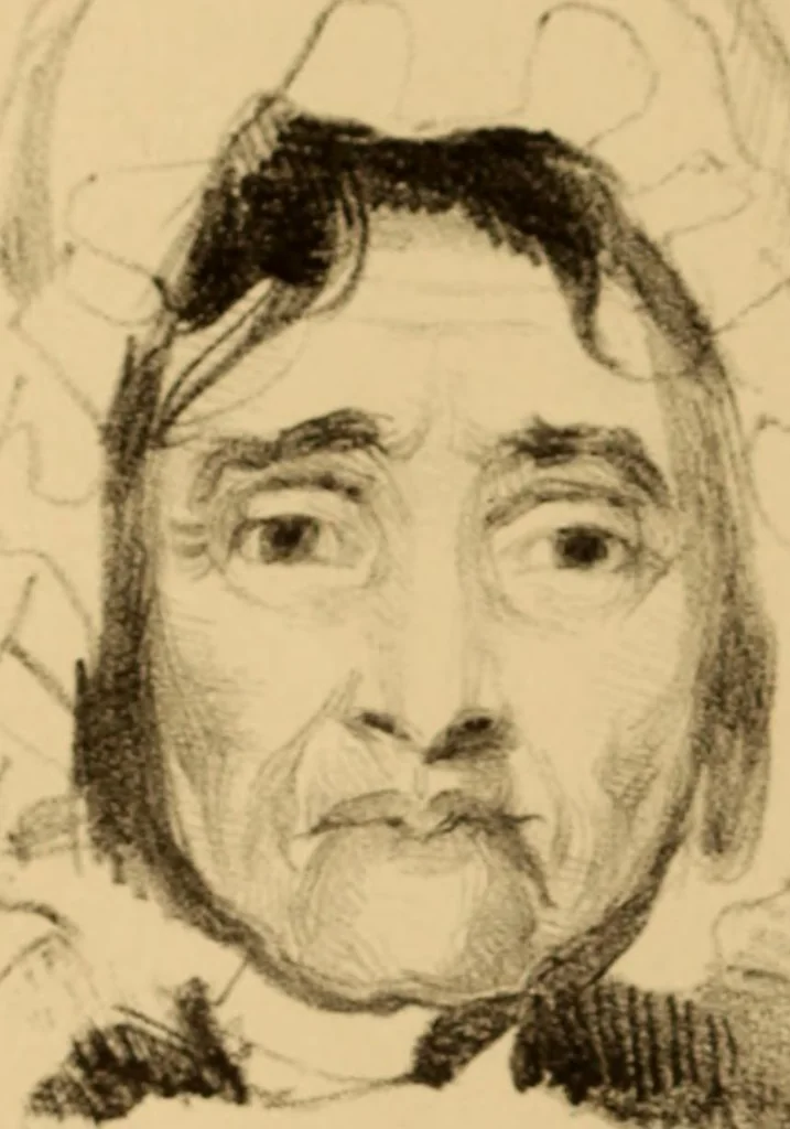 An illustration from The physiognomy of mental diseases, 1838, leaf 359