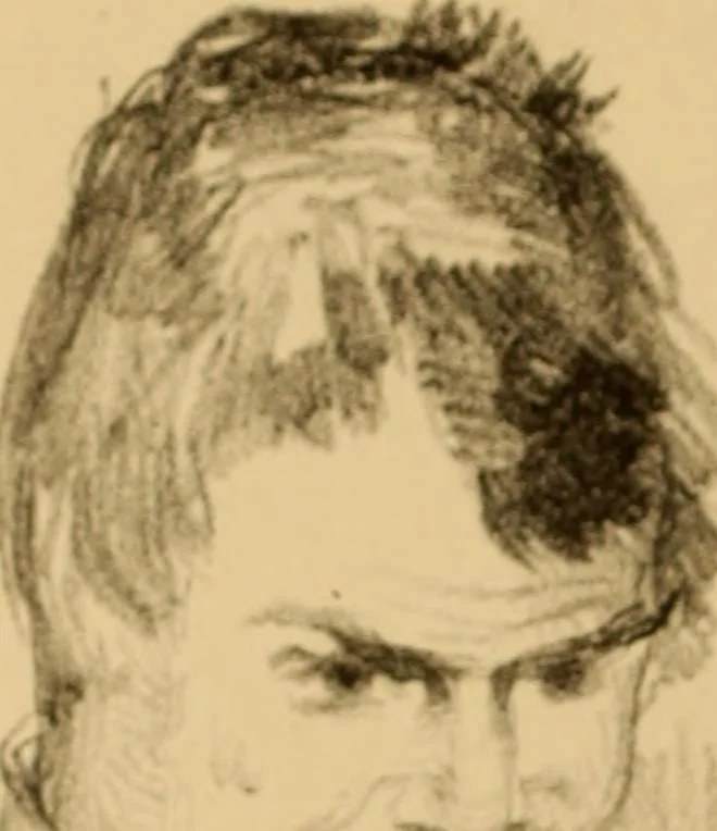 An illustration from The physiognomy of mental diseases, 1838, leaf 383