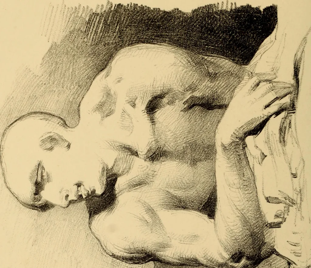 An illustration from The physiognomy of mental diseases, 1838, leaf 471