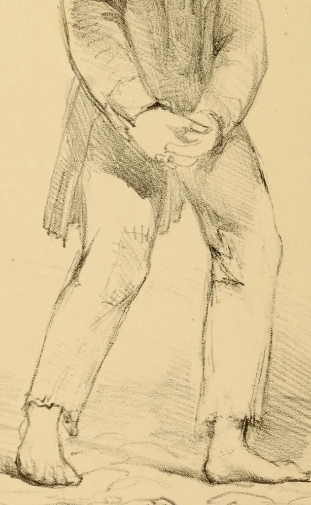 An illustration from The physiognomy of mental diseases, 1838, leaf 495