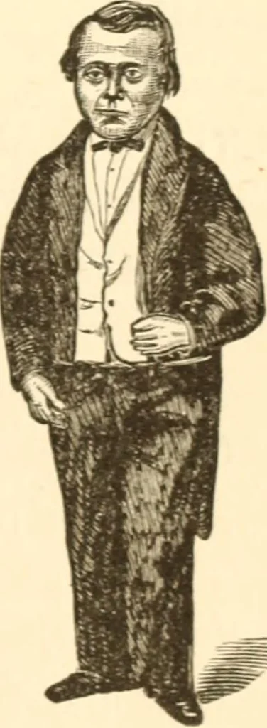 An illustration from Physiognomy illustrated ; or, Nature's revelations of character : a description of the mental, moral, and volitive dispositions of mankind, as manifested in the human form and countenance, 1891, leaf 104