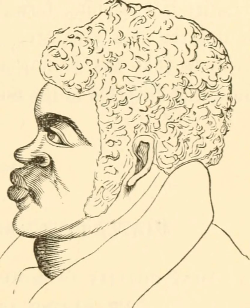 An illustration from Physiognomy illustrated ; or, Nature's revelations of character : a description of the mental, moral, and volitive dispositions of mankind, as manifested in the human form and countenance, 1891, leaf 162