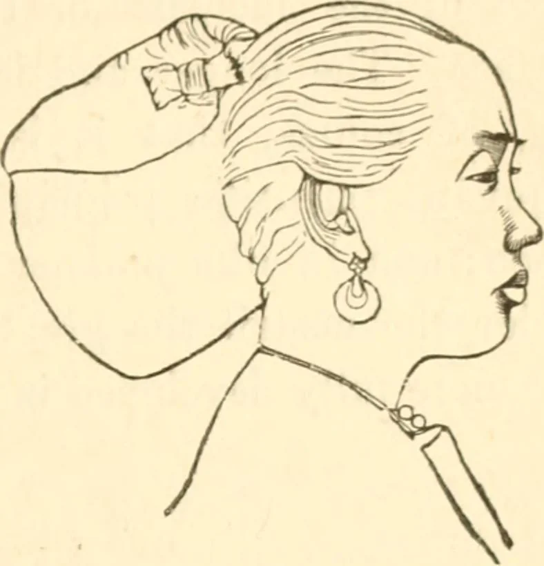 An illustration from Physiognomy illustrated ; or, Nature's revelations of character : a description of the mental, moral, and volitive dispositions of mankind, as manifested in the human form and countenance, 1891, leaf 164
