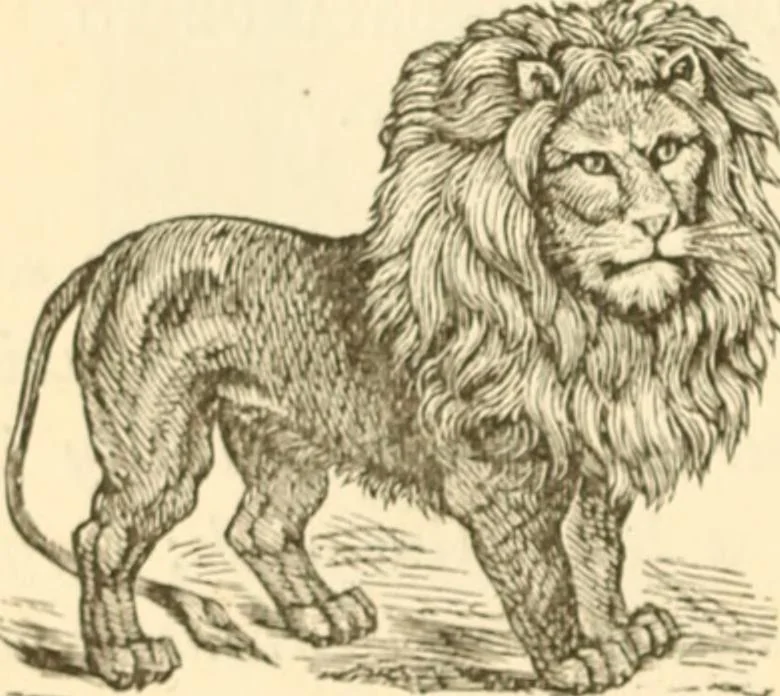An illustration from Physiognomy illustrated ; or, Nature's revelations of character : a description of the mental, moral, and volitive dispositions of mankind, as manifested in the human form and countenance, 1891, leaf 175