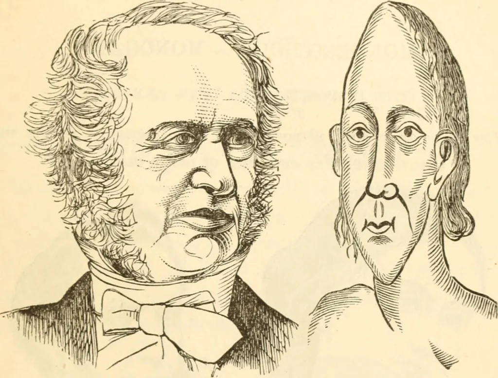 An illustration from Physiognomy illustrated ; or, Nature's revelations of character : a description of the mental, moral, and volitive dispositions of mankind, as manifested in the human form and countenance, 1891, leaf 184