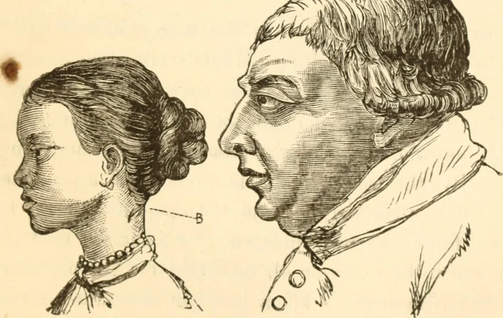 An illustration from Physiognomy illustrated ; or, Nature's revelations of character : a description of the mental, moral, and volitive dispositions of mankind, as manifested in the human form and countenance, 1891, leaf 186