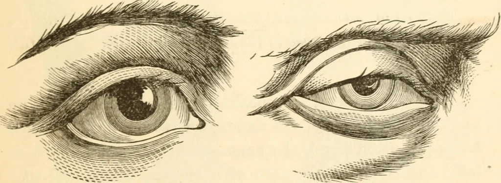 An illustration from Physiognomy illustrated ; or, Nature's revelations of character : a description of the mental, moral, and volitive dispositions of mankind, as manifested in the human form and countenance, 1891, leaf 190