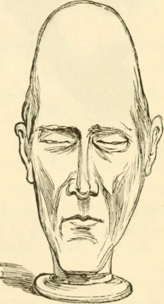 An illustration from Physiognomy illustrated ; or, Nature's revelations of character : a description of the mental, moral, and volitive dispositions of mankind, as manifested in the human form and countenance, 1891, leaf 193