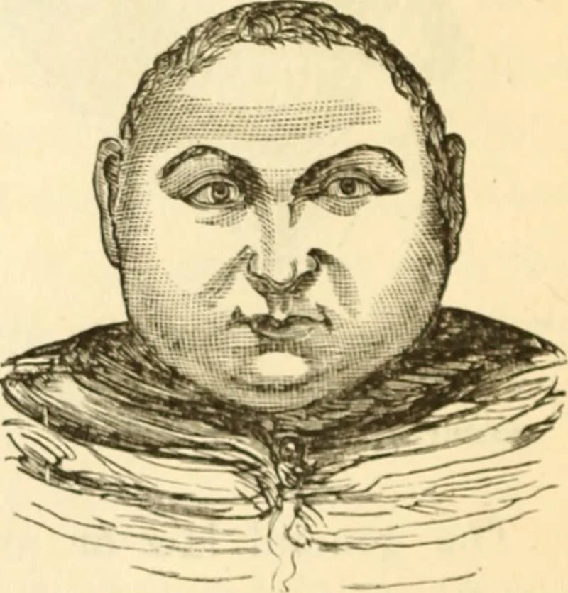 An illustration from Physiognomy illustrated ; or, Nature's revelations of character : a description of the mental, moral, and volitive dispositions of mankind, as manifested in the human form and countenance, 1891, leaf 193