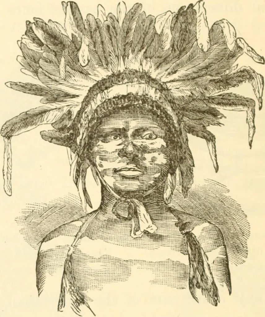 An illustration from Physiognomy illustrated ; or, Nature's revelations of character : a description of the mental, moral, and volitive dispositions of mankind, as manifested in the human form and countenance, 1891, leaf 205