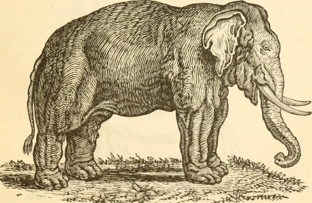 An illustration from Physiognomy illustrated ; or, Nature's revelations of character : a description of the mental, moral, and volitive dispositions of mankind, as manifested in the human form and countenance, 1891, leaf 208