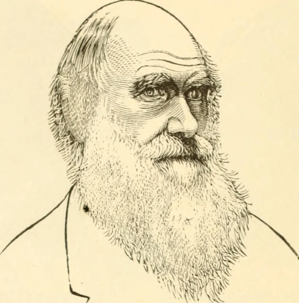 An illustration from Physiognomy illustrated ; or, Nature's revelations of character : a description of the mental, moral, and volitive dispositions of mankind, as manifested in the human form and countenance, 1891, leaf 219