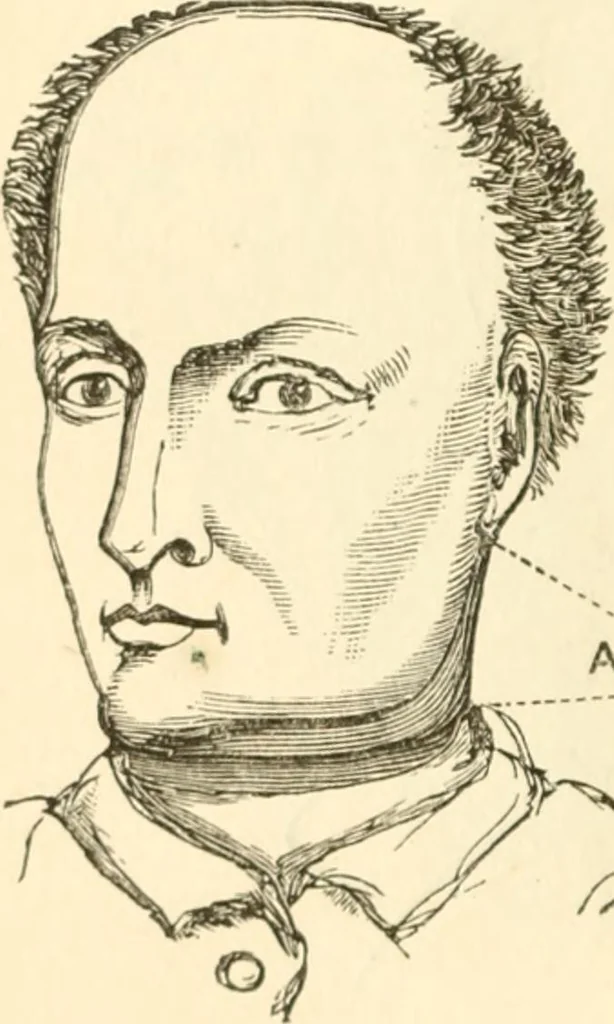 An illustration from Physiognomy illustrated ; or, Nature's revelations of character : a description of the mental, moral, and volitive dispositions of mankind, as manifested in the human form and countenance, 1891, leaf 231
