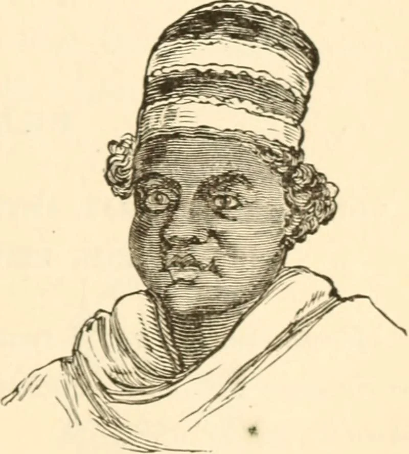 An illustration from Physiognomy illustrated ; or, Nature's revelations of character : a description of the mental, moral, and volitive dispositions of mankind, as manifested in the human form and countenance, 1891, leaf 236