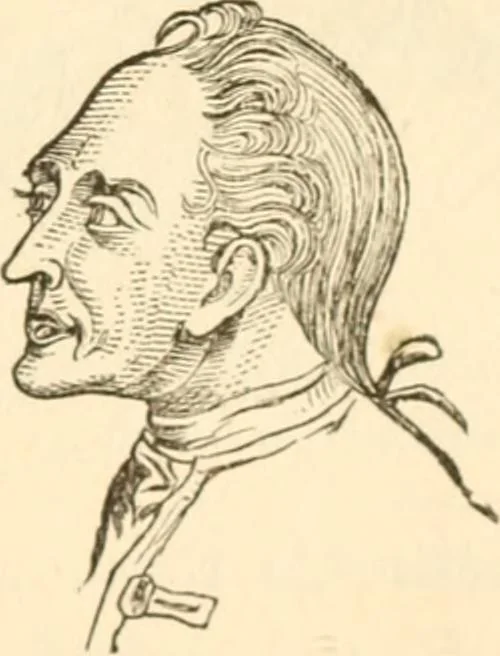 An illustration from Physiognomy illustrated ; or, Nature's revelations of character : a description of the mental, moral, and volitive dispositions of mankind, as manifested in the human form and countenance, 1891, leaf 238