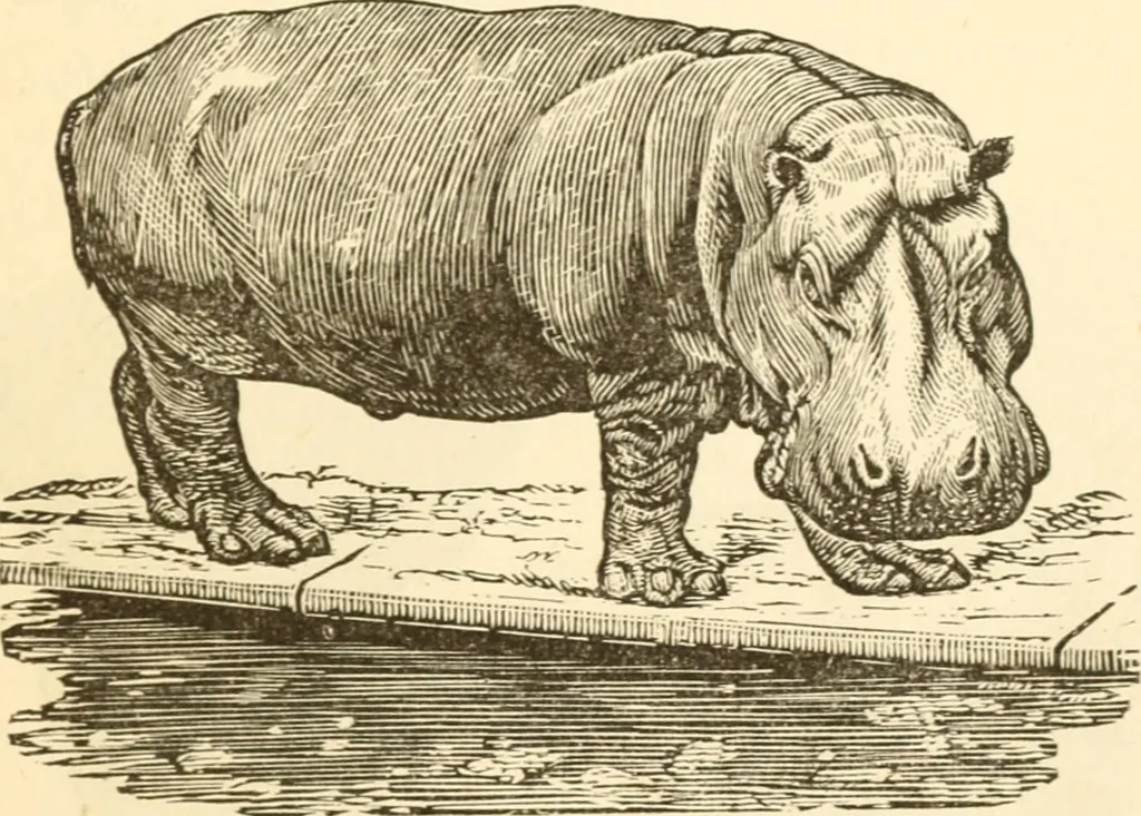 An illustration from Physiognomy illustrated ; or, Nature's revelations of character : a description of the mental, moral, and volitive dispositions of mankind, as manifested in the human form and countenance, 1891, leaf 268