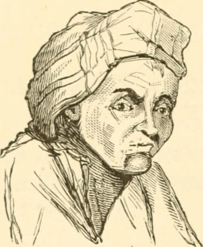 An illustration from Physiognomy illustrated ; or, Nature's revelations of character : a description of the mental, moral, and volitive dispositions of mankind, as manifested in the human form and countenance, 1891, leaf 271
