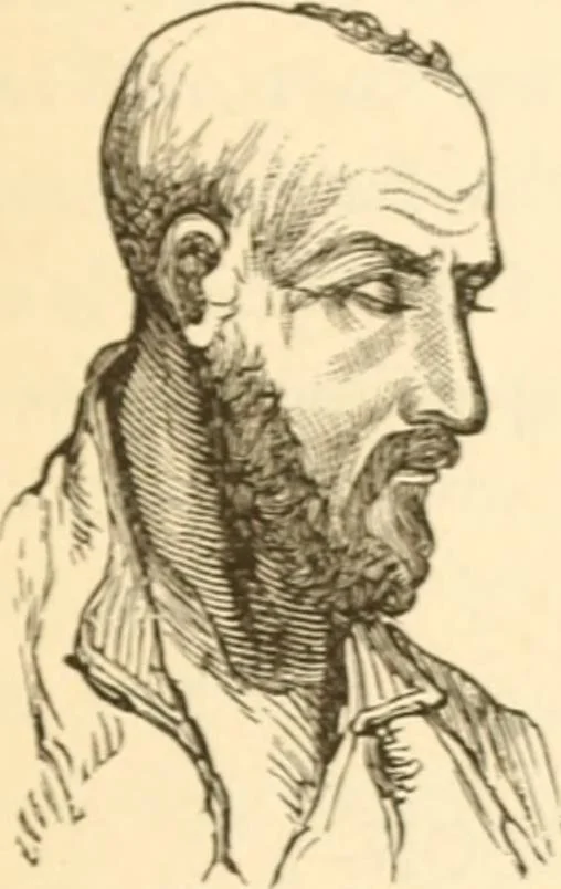 An illustration from Physiognomy illustrated ; or, Nature's revelations of character : a description of the mental, moral, and volitive dispositions of mankind, as manifested in the human form and countenance, 1891, leaf 272