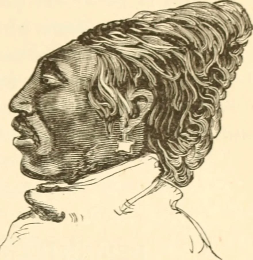 An illustration from Physiognomy illustrated ; or, Nature's revelations of character : a description of the mental, moral, and volitive dispositions of mankind, as manifested in the human form and countenance, 1891, leaf 272