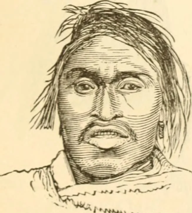 An illustration from Physiognomy illustrated ; or, Nature's revelations of character : a description of the mental, moral, and volitive dispositions of mankind, as manifested in the human form and countenance, 1891, leaf 276