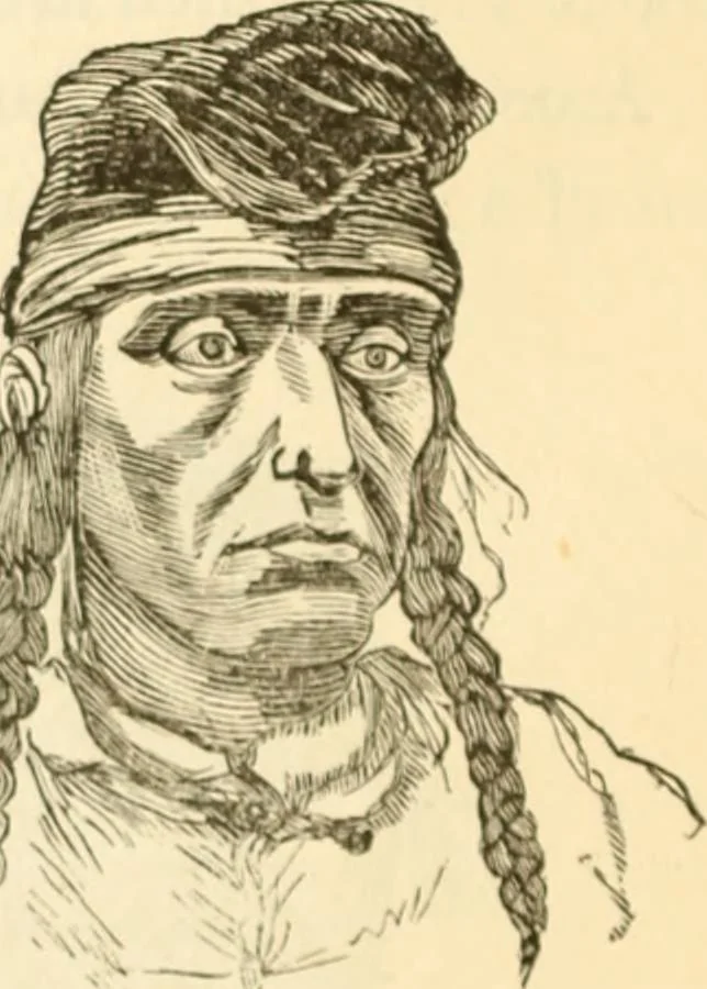 An illustration from Physiognomy illustrated ; or, Nature's revelations of character : a description of the mental, moral, and volitive dispositions of mankind, as manifested in the human form and countenance, 1891, leaf 277