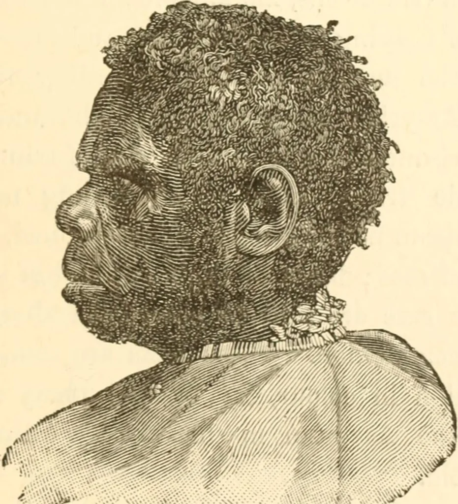 An illustration from Physiognomy illustrated ; or, Nature's revelations of character : a description of the mental, moral, and volitive dispositions of mankind, as manifested in the human form and countenance, 1891, leaf 288