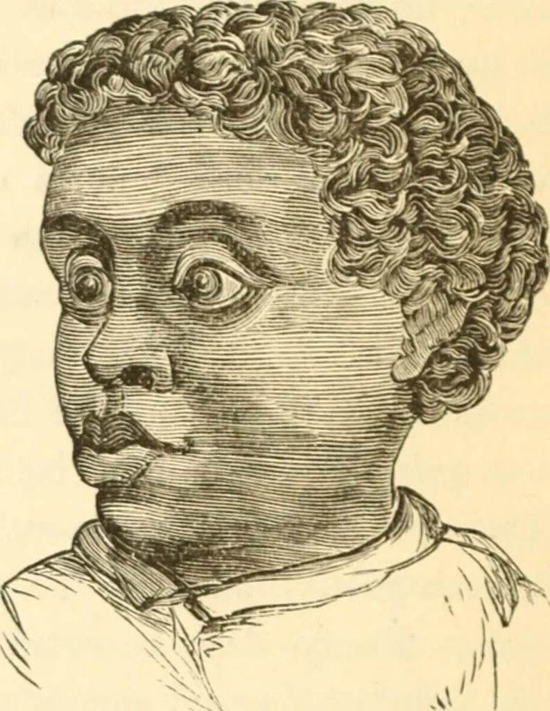 An illustration from Physiognomy illustrated ; or, Nature's revelations of character : a description of the mental, moral, and volitive dispositions of mankind, as manifested in the human form and countenance, 1891, leaf 309