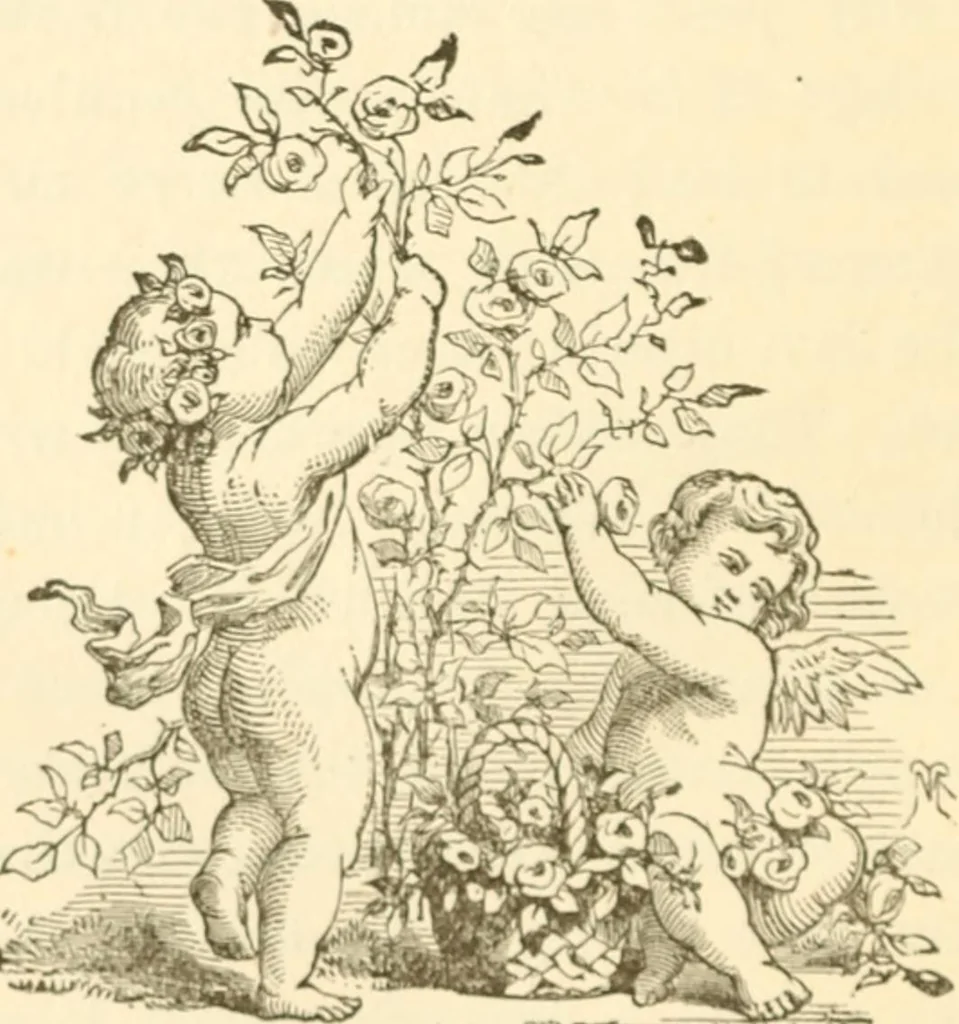 An illustration from Physiognomy illustrated ; or, Nature's revelations of character : a description of the mental, moral, and volitive dispositions of mankind, as manifested in the human form and countenance, 1891, leaf 365