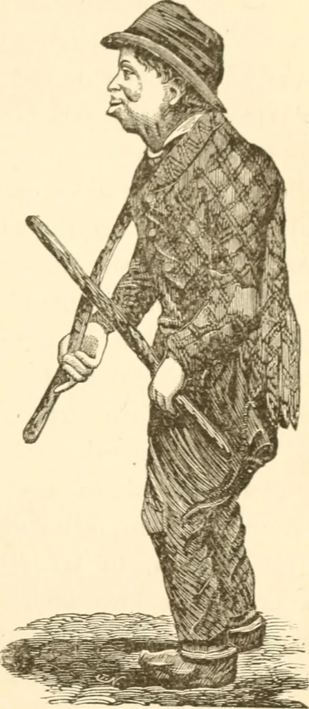 An illustration from Physiognomy illustrated ; or, Nature's revelations of character : a description of the mental, moral, and volitive dispositions of mankind, as manifested in the human form and countenance, 1891, leaf 376