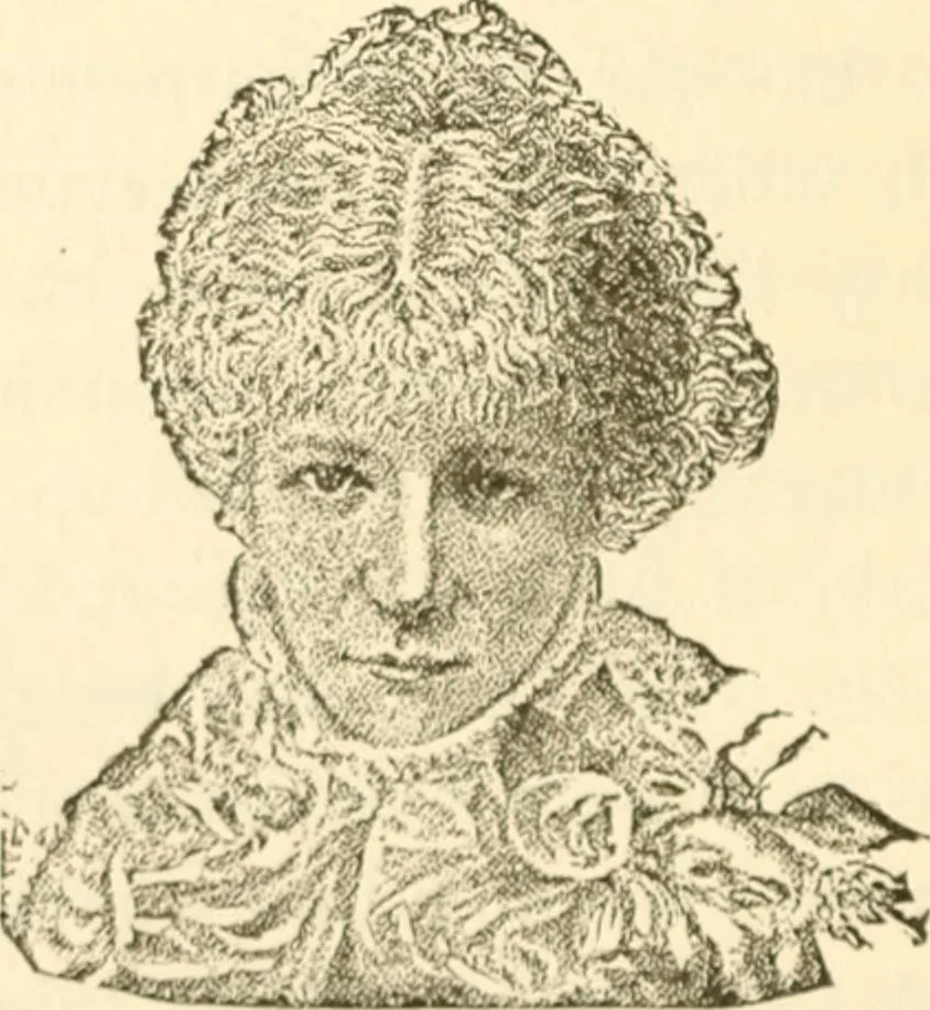 An illustration from Physiognomy illustrated ; or, Nature's revelations of character : a description of the mental, moral, and volitive dispositions of mankind, as manifested in the human form and countenance, 1891, leaf 383