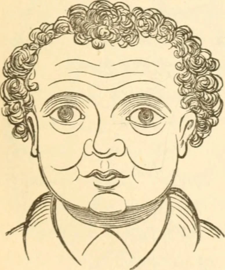 An illustration from Physiognomy illustrated ; or, Nature's revelations of character : a description of the mental, moral, and volitive dispositions of mankind, as manifested in the human form and countenance, 1891, leaf 386
