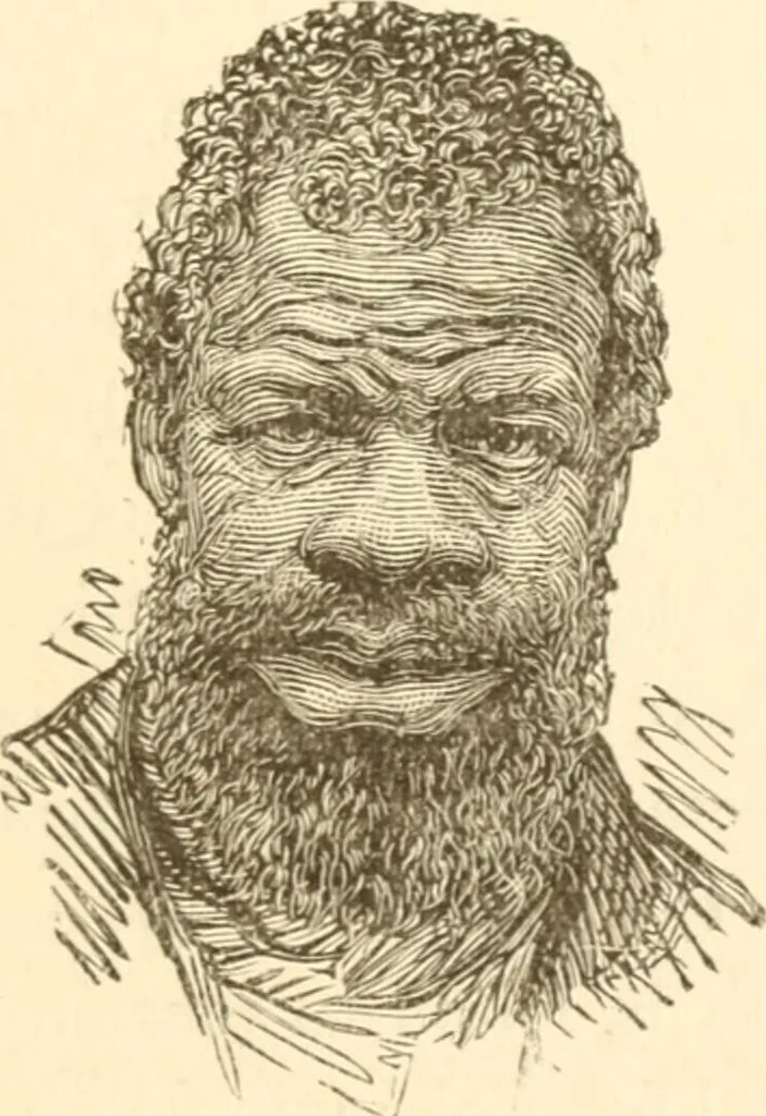 An illustration from Physiognomy illustrated ; or, Nature's revelations of character : a description of the mental, moral, and volitive dispositions of mankind, as manifested in the human form and countenance, 1891, leaf 426