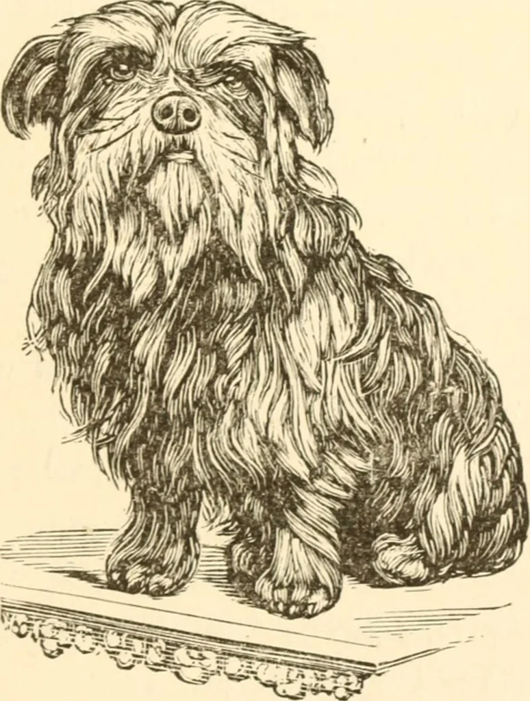 An illustration from Physiognomy illustrated ; or, Nature's revelations of character : a description of the mental, moral, and volitive dispositions of mankind, as manifested in the human form and countenance, 1891, leaf 508