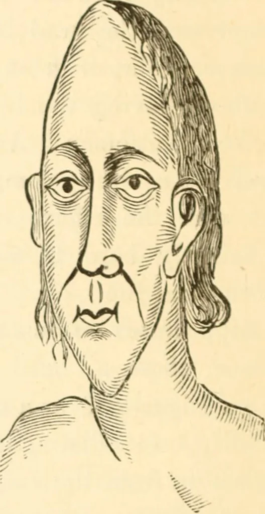 An illustration from Physiognomy illustrated ; or, Nature's revelations of character : a description of the mental, moral, and volitive dispositions of mankind, as manifested in the human form and countenance, 1891, leaf 535