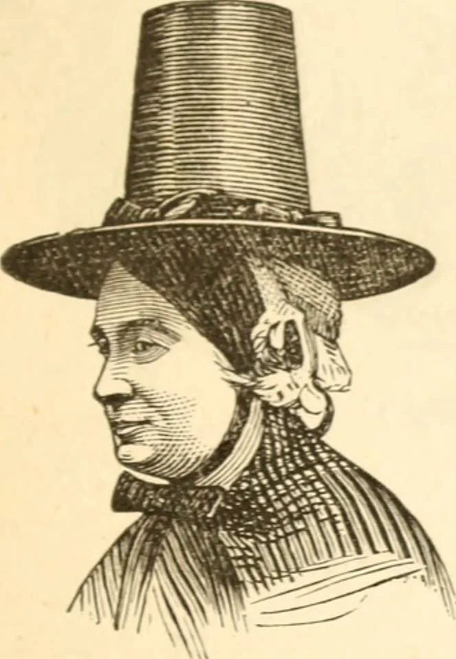 An illustration from Physiognomy illustrated ; or, Nature's revelations of character : a description of the mental, moral, and volitive dispositions of mankind, as manifested in the human form and countenance, 1891, leaf 536