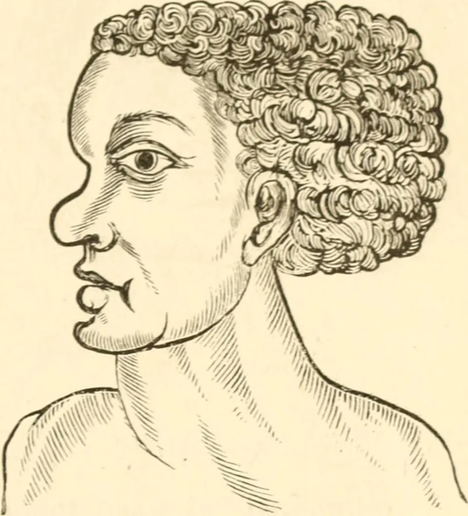 An illustration from Physiognomy illustrated ; or, Nature's revelations of character : a description of the mental, moral, and volitive dispositions of mankind, as manifested in the human form and countenance, 1891, leaf 536