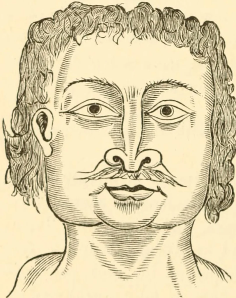 An illustration from Physiognomy illustrated ; or, Nature's revelations of character : a description of the mental, moral, and volitive dispositions of mankind, as manifested in the human form and countenance, 1891, leaf 537