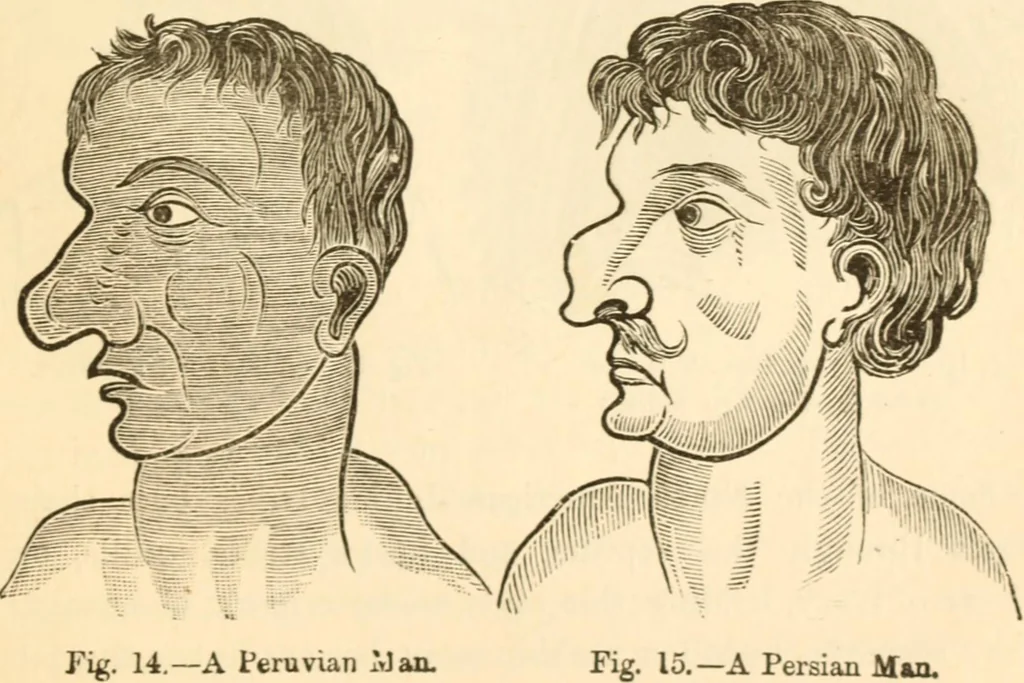 An illustration from Physiognomy illustrated ; or, Nature's revelations of character : a description of the mental, moral, and volitive dispositions of mankind, as manifested in the human form and countenance, 1891, leaf 540