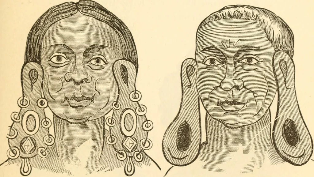 An illustration from Physiognomy illustrated ; or, Nature's revelations of character : a description of the mental, moral, and volitive dispositions of mankind, as manifested in the human form and countenance, 1891, leaf 542