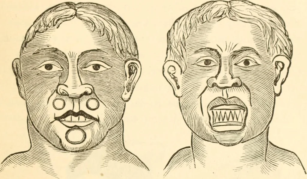 An illustration from Physiognomy illustrated ; or, Nature's revelations of character : a description of the mental, moral, and volitive dispositions of mankind, as manifested in the human form and countenance, 1891, leaf 544