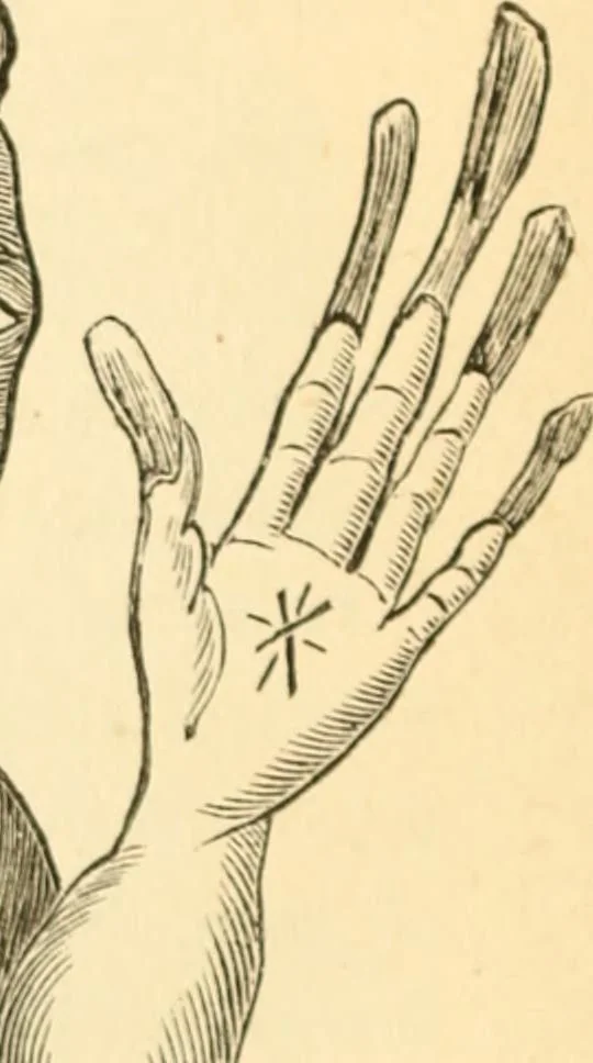 An illustration from Physiognomy illustrated ; or, Nature's revelations of character : a description of the mental, moral, and volitive dispositions of mankind, as manifested in the human form and countenance, 1891, leaf 545
