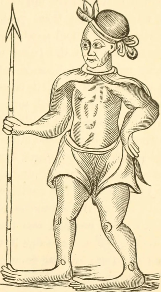 An illustration from Physiognomy illustrated ; or, Nature's revelations of character : a description of the mental, moral, and volitive dispositions of mankind, as manifested in the human form and countenance, 1891, leaf 548