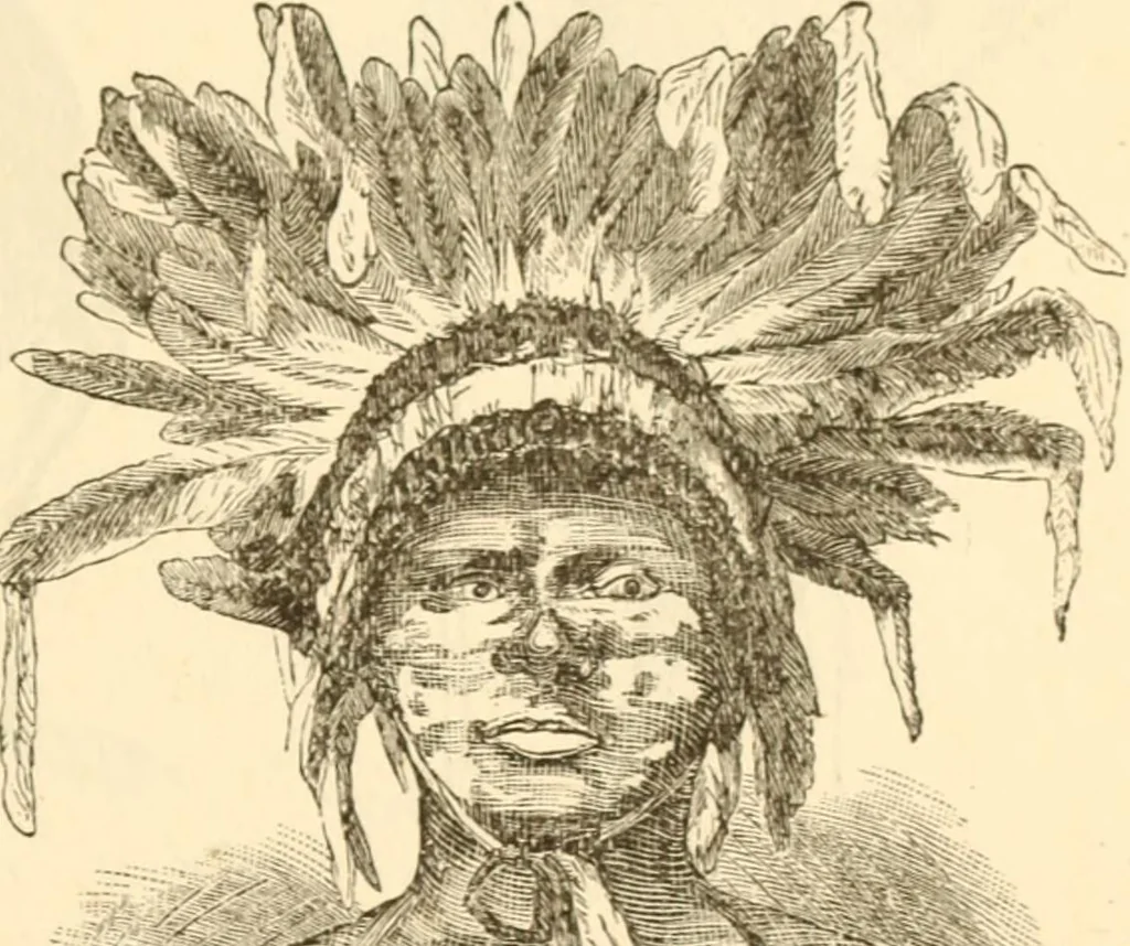 An illustration from Physiognomy illustrated ; or, Nature's revelations of character : a description of the mental, moral, and volitive dispositions of mankind, as manifested in the human form and countenance, 1891, leaf 556