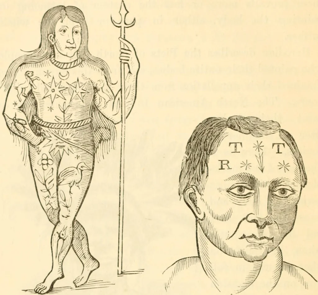 An illustration from Physiognomy illustrated ; or, Nature's revelations of character : a description of the mental, moral, and volitive dispositions of mankind, as manifested in the human form and countenance, 1891, leaf 557