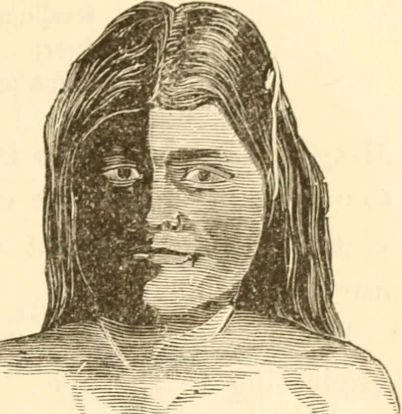 An illustration from Physiognomy illustrated ; or, Nature's revelations of character : a description of the mental, moral, and volitive dispositions of mankind, as manifested in the human form and countenance, 1891, leaf 558