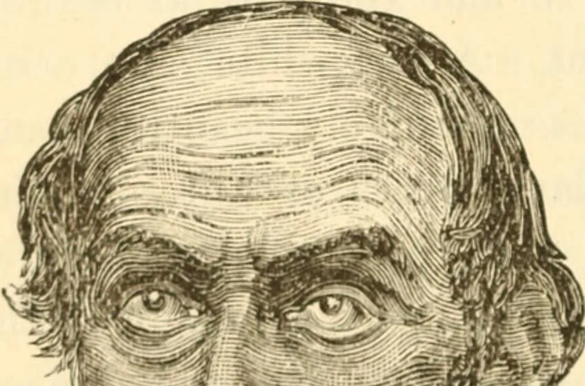 An illustration from Physiognomy illustrated ; or, Nature's revelations of character : a description of the mental, moral, and volitive dispositions of mankind, as manifested in the human form and countenance, 1891, leaf 559